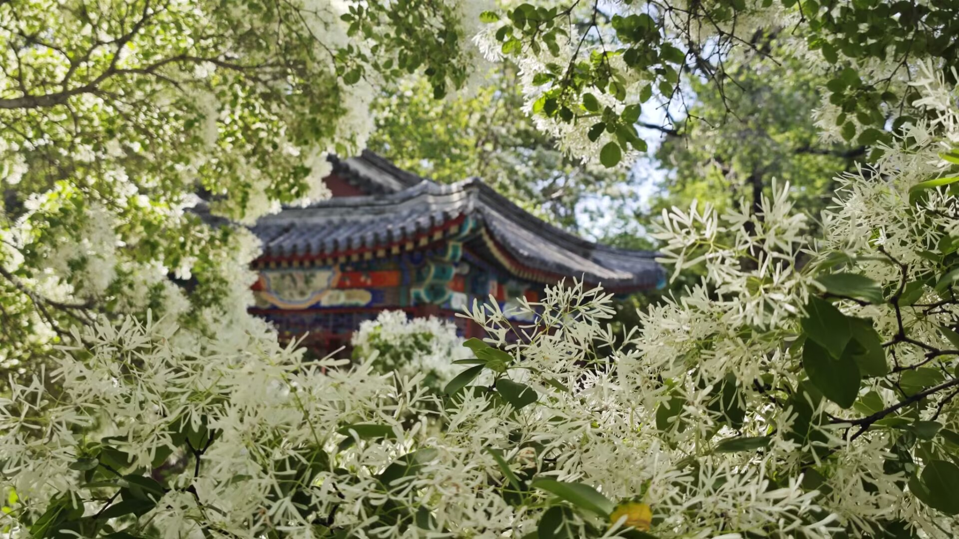 Featured image of post 科研论文逻辑内容提取