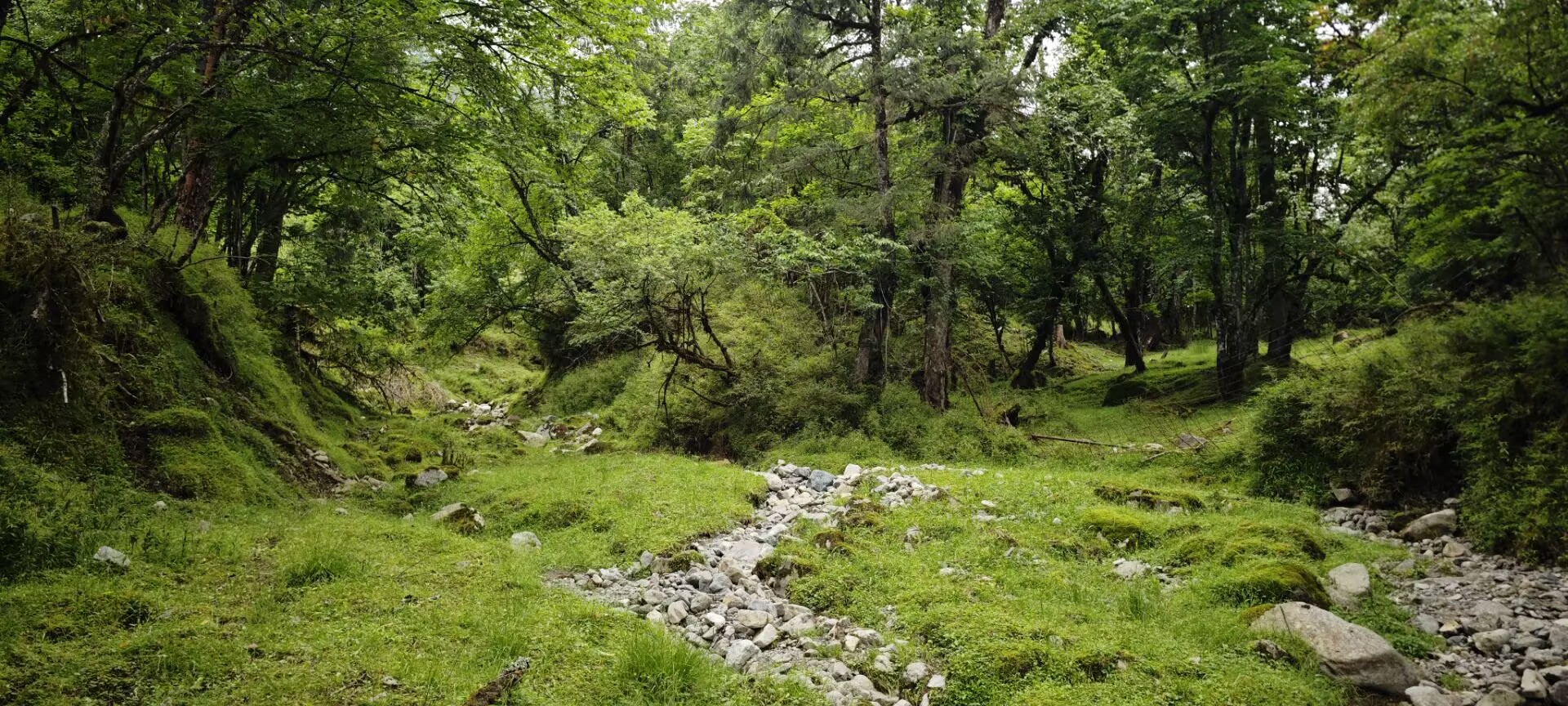 Featured image of post Transformer模型结构